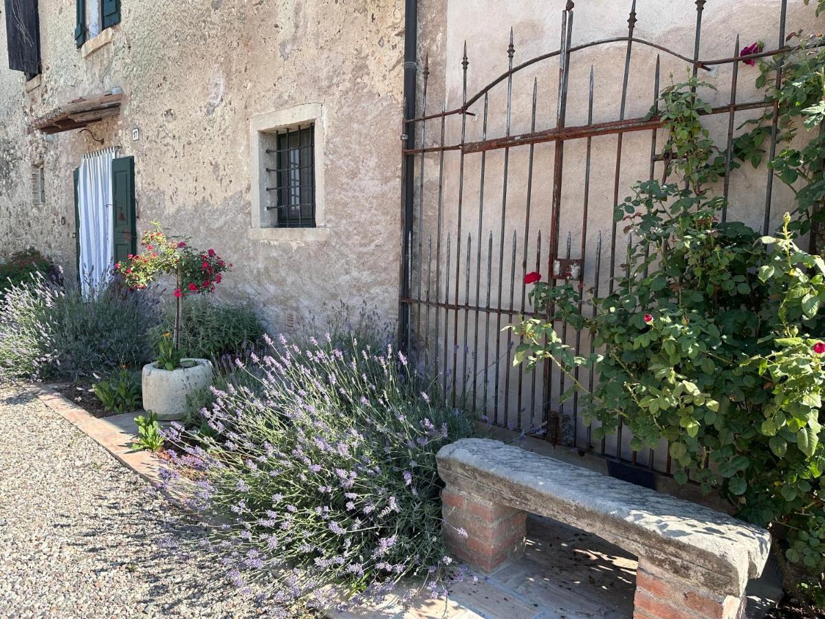 Ca Nova Agriturismo Castellaro  Exteriör bild
