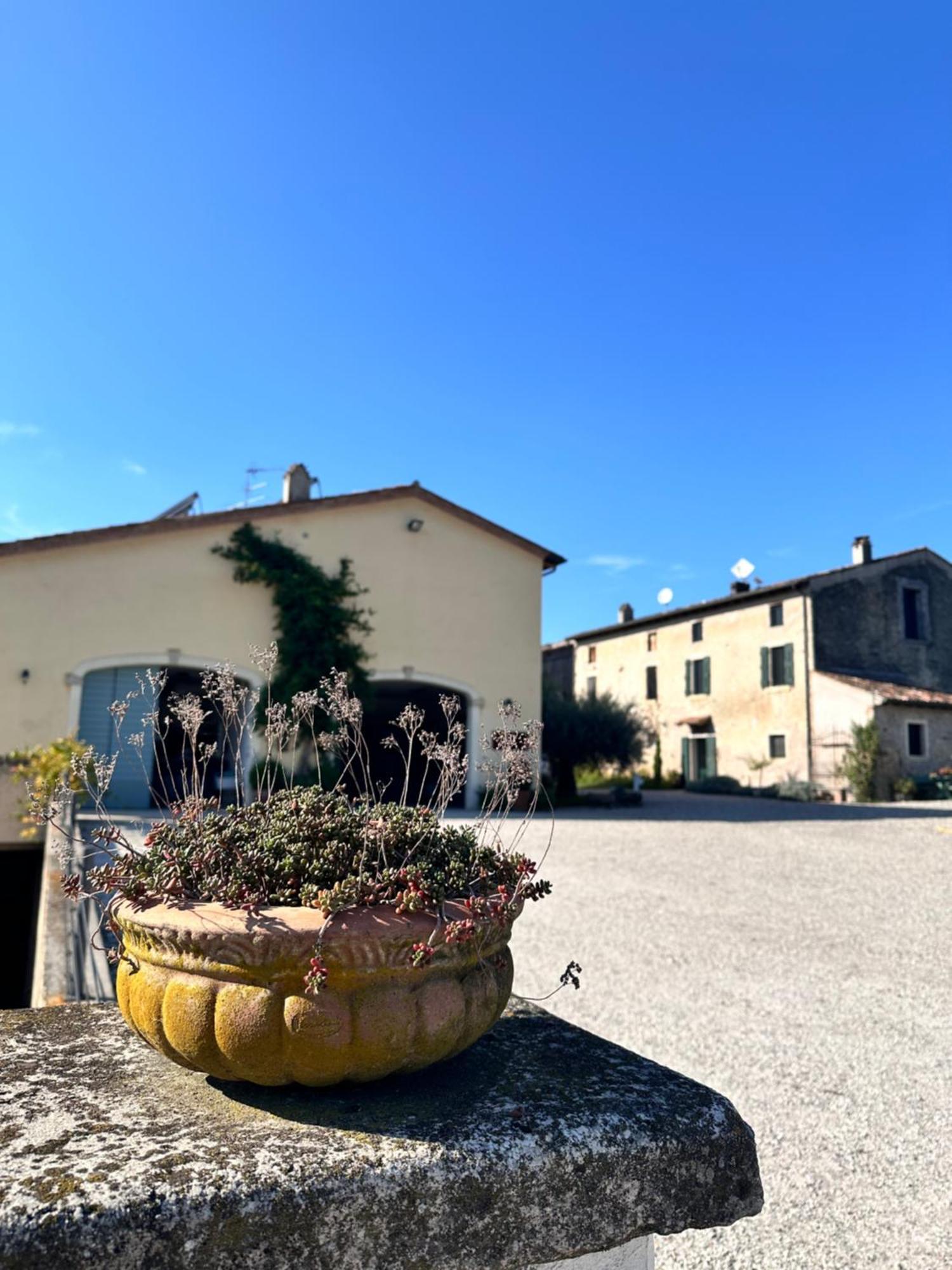 Ca Nova Agriturismo Castellaro  Exteriör bild