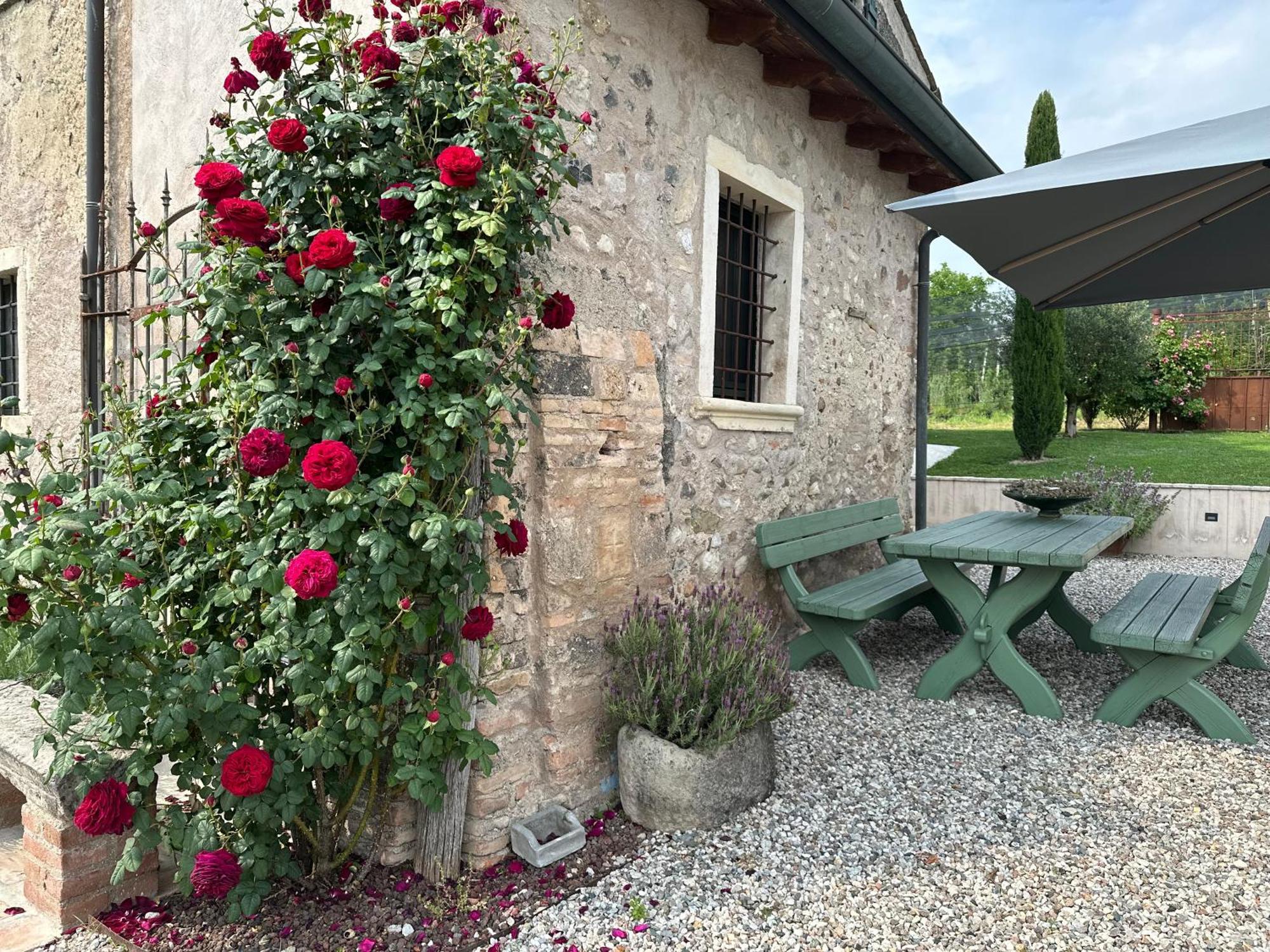 Ca Nova Agriturismo Castellaro  Exteriör bild